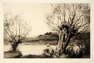 The Willows,