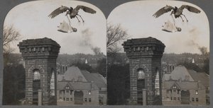 A régi időkben, ha az emberek jók lennének, a gólya édes és szép babát hozott, 1907. alkotó: Keystone View Company