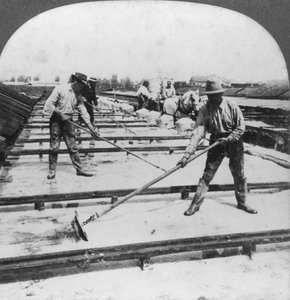 Nappárolgás, sógyártás, Syracuse, New York, USA, XX. század alkotó: Keystone View Company