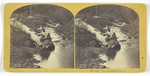 The Babbling Brook, 185575. Alkotók: Kilburn Brothers, BW Kilburn.