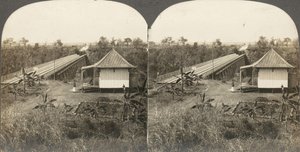 14 sztereográfiából álló csoport Afrikáról és színészekről, 1850-1910.