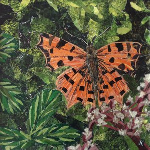 Flutter - Vessző Pillangó Japonicán