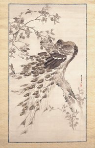 Páva cseresznye-almafán (tinta és szín a selyemen)