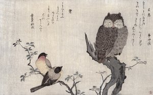 Egy bagoly és két keleti bölömbika, a "Madarak összehasonlítva a humoros dalokban, a 100 és 1000 madár költészeti versenyében" című albumból, 1791 (színes fametszet). alkotó: Kitagawa Utamaro