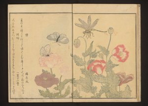 Pillangók és szitakötő mák közelében alkotó: Kitagawa Utamaro