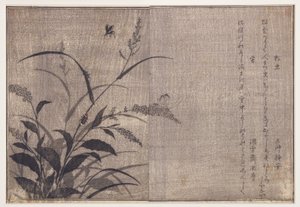 Tücsök és szentjánosbogarak, 1788 (fatégla) alkotó: Kitagawa Utamaro