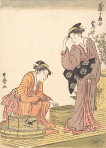 Japán bokorrigó, 1754-1806. alkotó: Kitagawa Utamaro