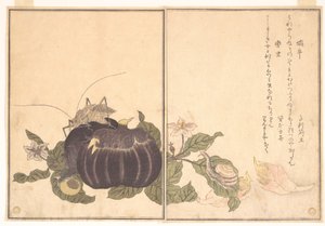  alkotó: Kitagawa Utamaro