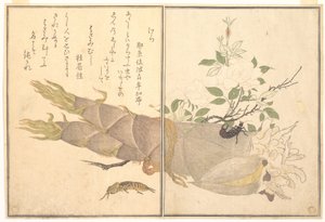  alkotó: Kitagawa Utamaro