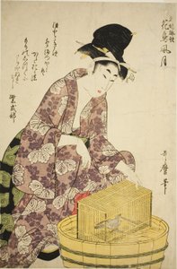 Murasaki Shikibu: Madár, a "Híres nők és verseik a virágokról, madarakról, szélről és holdról (Meifu eika kacho fugetsu)" sorozatból alkotó: Kitagawa Utamaro