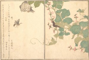 Papírdarázs Hachi, szőrös hernyó Kemushi..., 1788. alkotó: Kitagawa Utamaro