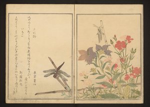 Piros szitakötő és sáska rózsaszínekkel alkotó: Kitagawa Utamaro