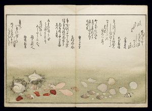 Shiohi no tsuto (Ajándékok az Ebb-dagályból), Shell Book néven ismert, 1789 (színes fatömbnyomat) alkotó: Kitagawa Utamaro