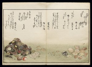 Shiohi no tsuto (Ajándékok az Ebb-dagályból), Shell Book néven ismert, 1789 (színes fatömbnyomat) alkotó: Kitagawa Utamaro