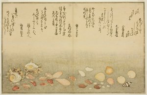 Fehér kívül, ráncok a felszínen, Maclar Street, Yellow Street, Other Street, Sadaei, from tee st latte d book o k "Technique fts from tee eh b on the ground (bracts of the sea)" alkotó: Kitagawa Utamaro