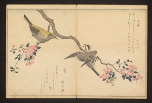 Cinege és bokor poszáta alkotó: Kitagawa Utamaro