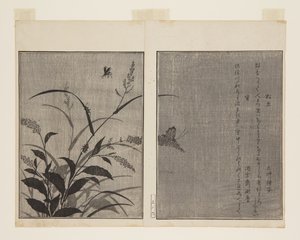 Tree Cricket (Matsumushi) és Firefly (Hotaru) (színes fatömb nyomat) alkotó: Kitagawa Utamaro