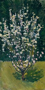 Virágzó csemete alkotó: Koloman Moser