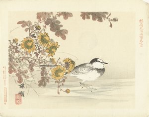 Japán wagtail Bairei virág- és madárvázlatai (sorozat címe) Barei kacho gafu (sorozat címe az objektumon)