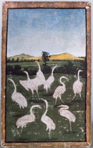 Gémek a mezőn, az udvari sólyomkodás jeleneteit ábrázoló játékkártyakészlet egyike, Upper Rhein Area, 1440-45 körül (toll és tinta, wc) (lásd még: 88300-04) alkotó: Konrad Witz