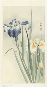 Íriszek alkotó: Ohara Koson