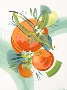 Citrus 3. évad
