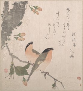  alkotó: Kubo Shunman