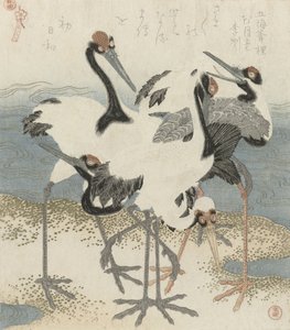Daruk a víz mellett, 1816 körül (színes fametszet) alkotó: Kubo Shunman