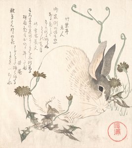 Nyúl és pitypang, valószínűleg 1820. alkotó: Kubo Shunman