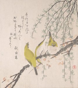 Japán fehérszemű szilvafával és fűzfával..., kb. 1810. alkotó: Kubo Shunman