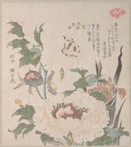  alkotó: Kubo Shunman