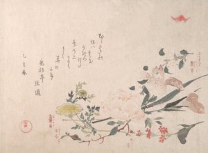Rózsa, írisz, kankalin és százszorszép, 1815. alkotó: Kubo Shunman