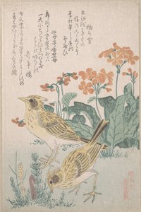„Pacsirták és kankalinok” a „Madárcsoport” (Tori awase) sorozatból, a „Tavaszi eső” surimono-albumból (Harusame surimono-jō, 3. kötet) alkotó: Kubo Shunman