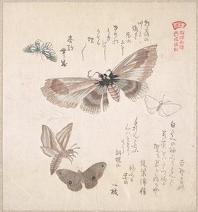  alkotó: Kubo Shunman