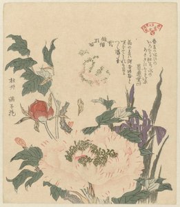 Pünkösdi rózsa és íriszek Kakitsubata botan (cím a tárgyon) Növényválogatás a Kasumi Poetry Society számára (sorozat címe) Kasumiren sômoku awase (sorozat címe az objektumon)