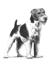  alkotó: Kulik