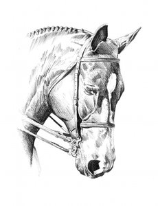  alkotó: Kulik