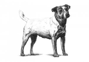  alkotó: Kulik