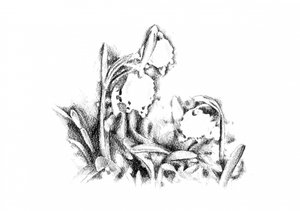  alkotó: Kulik