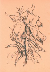  alkotó: Kulik