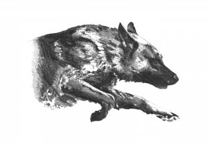  alkotó: Kulik