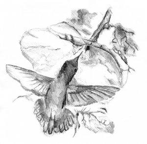  alkotó: Kulik