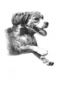  alkotó: Kulik