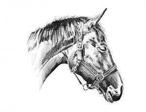  alkotó: Kulik