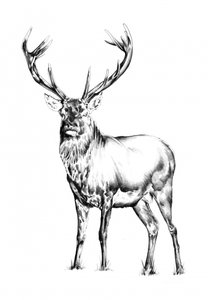  alkotó: Kulik
