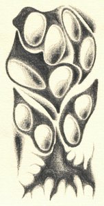  alkotó: Kulik