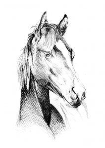  alkotó: Kulik