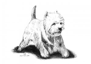  alkotó: Kulik