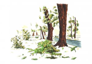  alkotó: Kulik