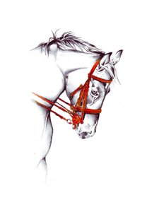  alkotó: Kulik